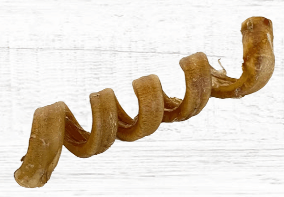Water Buffalo Bully Spiral